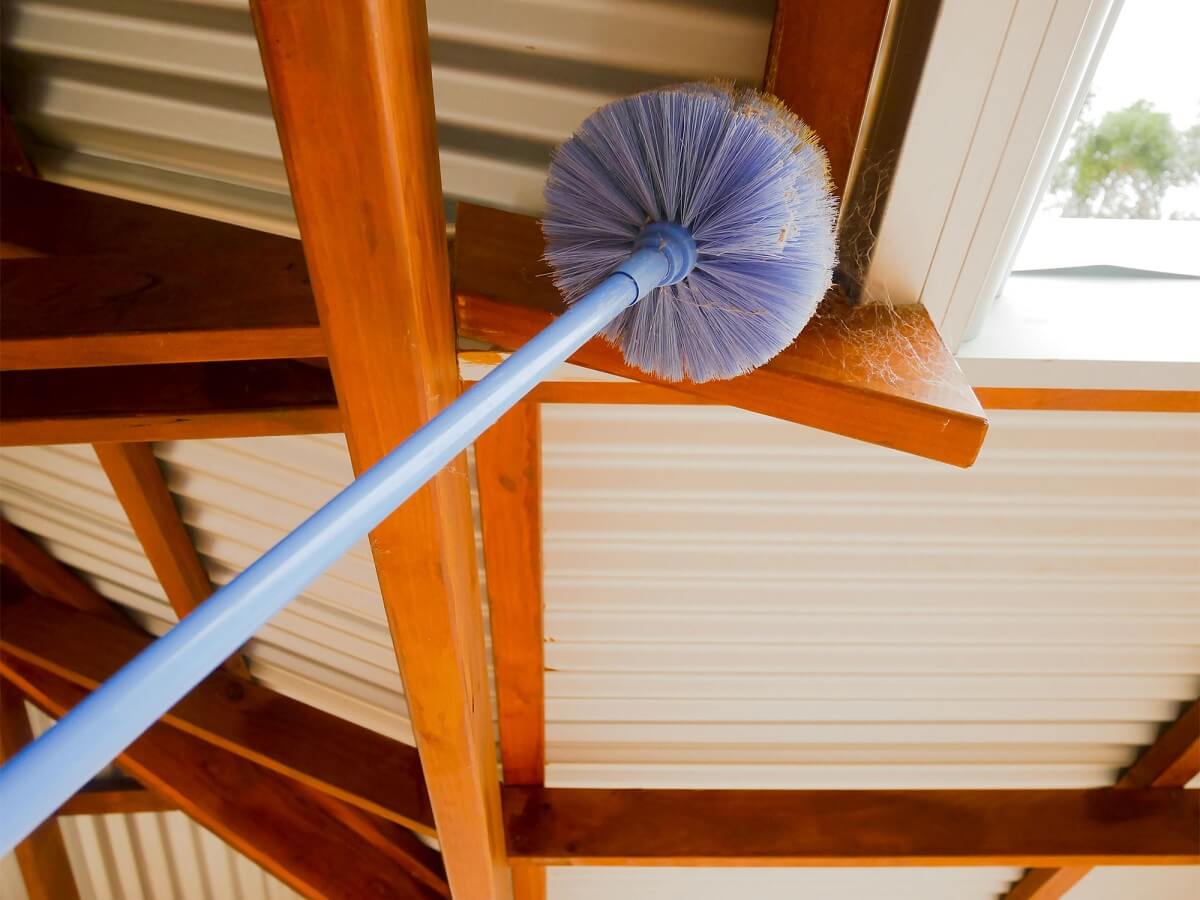 Quét mạng nhện là một việc rất cần thiết để giữ cho căn nhà của bạn luôn sạch sẽ và thoáng mát. Nếu bạn muốn biết cách quét mạng nhện hiệu quả, hãy xem ngay bức ảnh liên quan đến từ khóa này!
