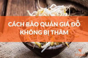 Cách bảo quản giá đỗ