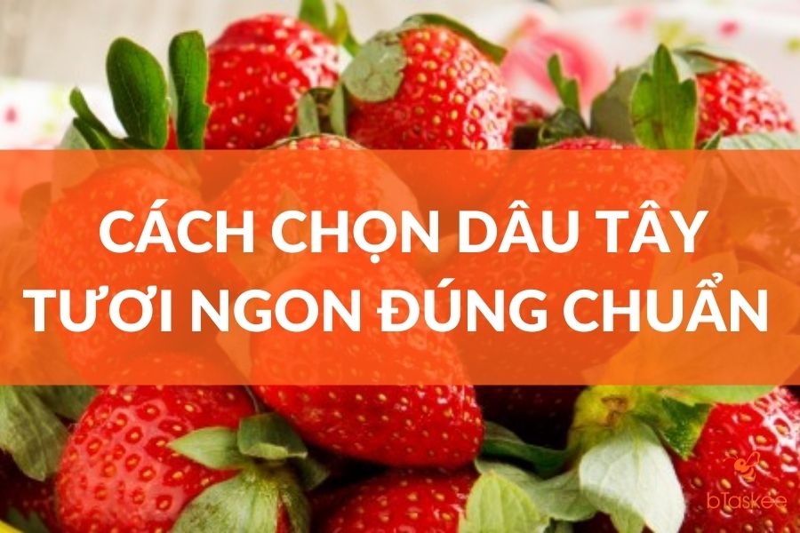 6 Cach Chọn Dau Tay Tươi Ngon đung Chuẩn Btaskee