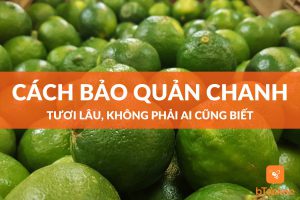 cách bảo quản chanh tươi lâu