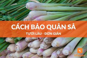 Cách bảo quản sả được tươi lâu đơn giản