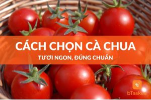 cách chon cà chua tuoi ngon