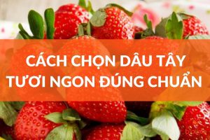 cách chọn dây tây tươi ngon