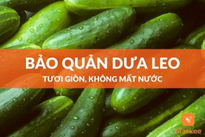 Cách bảo quản dưa leo tươi giòn