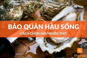 Cách bảo quản hàu sống và cách chọn mua hàu nhiều thịt