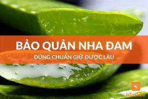 cách bảo quản nha đam tươi lâu đúng chuẩn