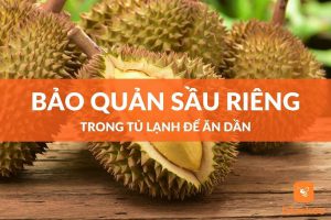 Cách bảo quản sầu riêng trong tủ lạnh