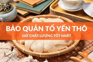 Cách bảo quản tổ yến thô tốt nhất