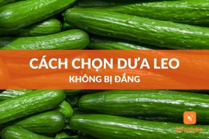 cách chọn dưa leo ngon không bị đắng