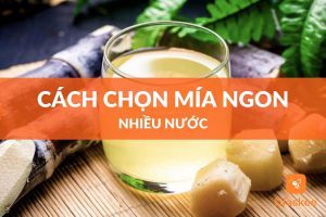 cách chọn mía ngon nhiều nước