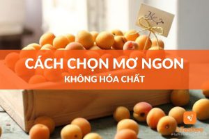 cách chọn mơ ngon