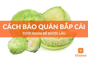 Cách bảo quản bắp cải tươi lâu