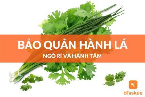 Cách bảo quản hành lá, ngò rí và hành tăm tươi lâu