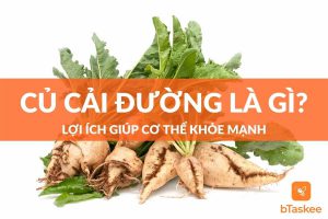 Củ cải đường là gì? Những lợi ích giúp cơ thể khỏe mạnh