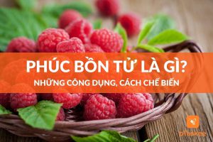 Phúc bồn tử là gì