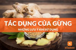 Tác dụng của gừng những lưu ý khi dùng