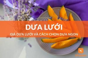 Giá dưa lưới mới nhất và cách chọn dưa ngon