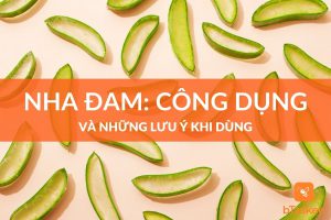 công dụng nha đam