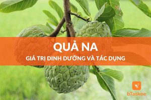 tác dụng của quả na