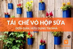 Tái chế vỏ hộp sữa thành vật dụng hữu ích