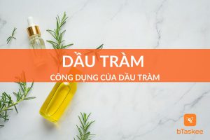 công dụng tinh dầu tràm