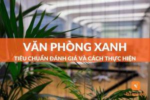 Văn phòng xanh là gì