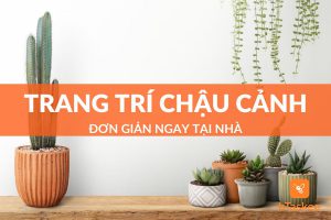 Trang trí chậu cảnh đơn giản ngay tại nhà