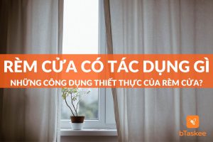 Rèm Cửa Có Tác Dụng Gì? Những Tính Năng Của Rèm Cửa