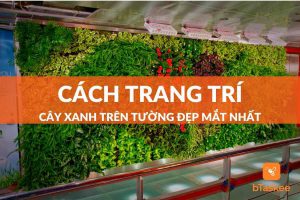 trang trí cây xanh trên tường