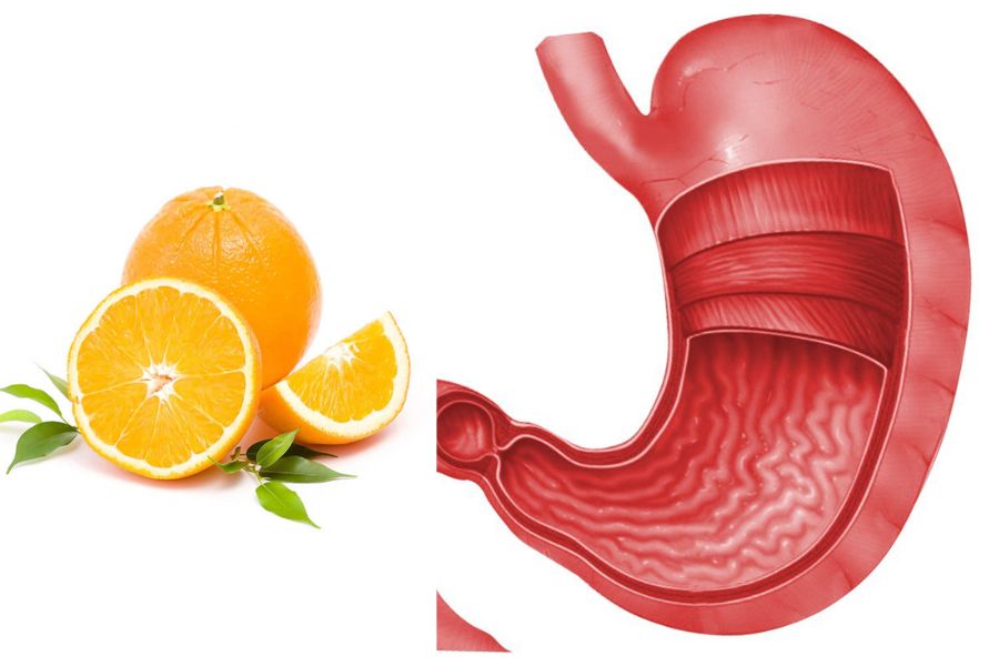 Trong trái cam, chứa nhiều chất chống vi khuẩn, kháng viêm