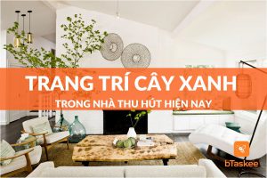 Tổng hợp 10+ mẫu trang trí nhà với cây xanh thu hút hiện nay