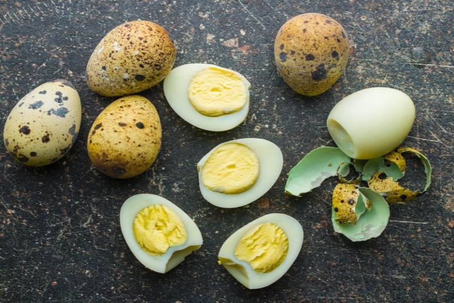 Lưu ý những đối tượng không nên ăn trứng cút.