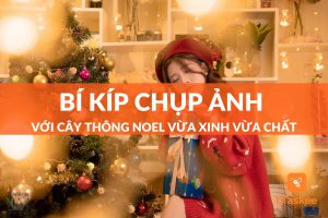 chụp ảnh với cây thông noel