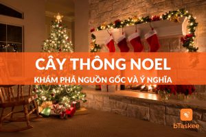 ý nghĩa cây thông noel