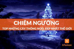 cây thông noel đẹp nhất thế giới