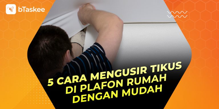 Cara mengusir tikus di plafon