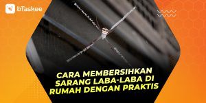 Cara Membersihkan Sarang Laba-Laba