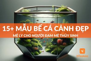 bể cá cảnh đẹp