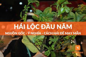 Phong Tục Hái Lộc Đầu Năm: Ý Nghĩa Và Cách Hái Lộc Chuẩn