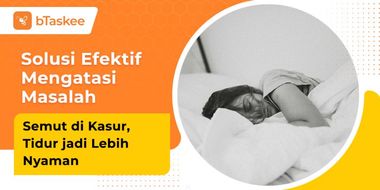 Cara menghilangkan semut di kasur