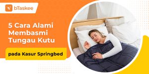 cara membasmi tungau kutu pada kasur springbed