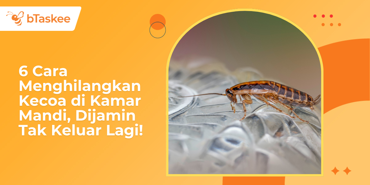 Cara Menghilangkan Kecoa di Kamar Mandi