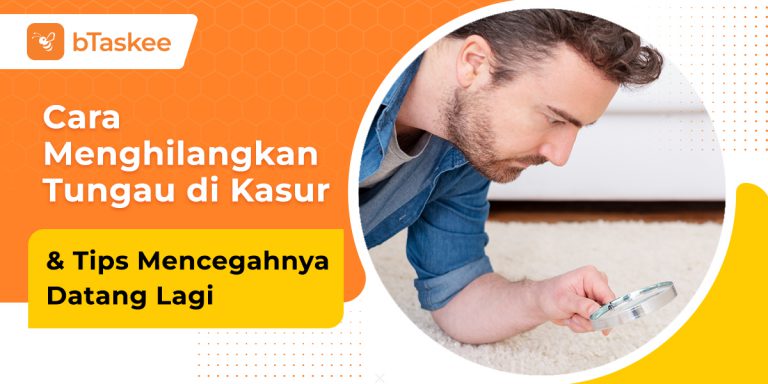 cara menghilangkan tungau di kasur