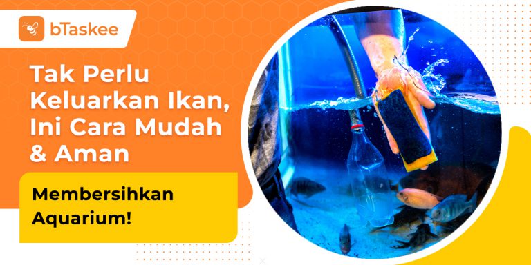 cara membersihkan aquarium