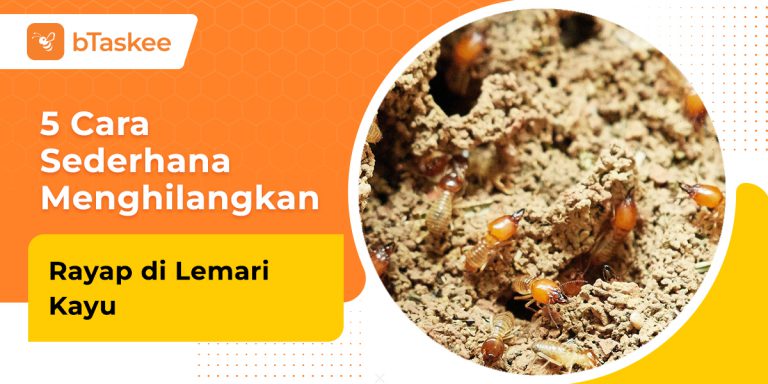 cara menghilangkan rayap di lemari