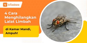 cara menghilangkan lalat limbah di kamar mandi