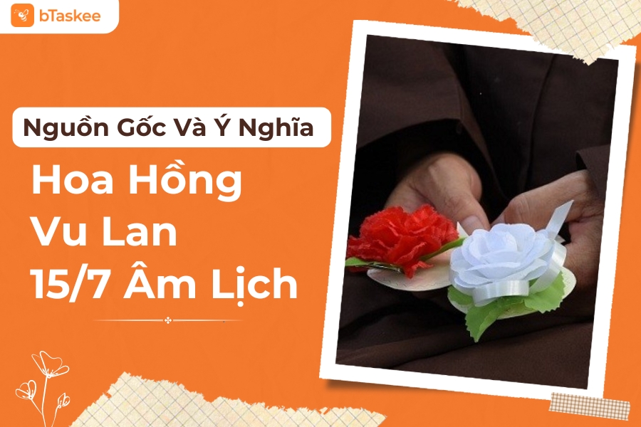 hoa hồng vu lan