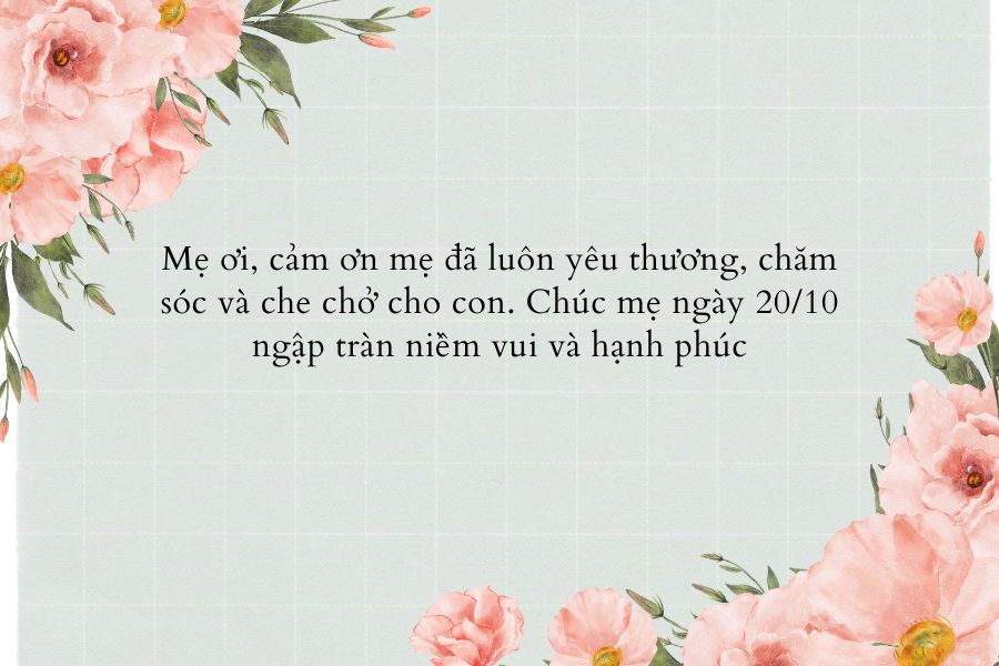 Những lời chúc 20/10 cho mẹ ý nghĩa, cảm động.