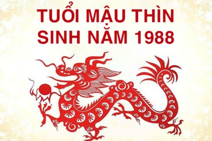 Đặc điểm chung của người tuổi Mậu Thìn 1988.